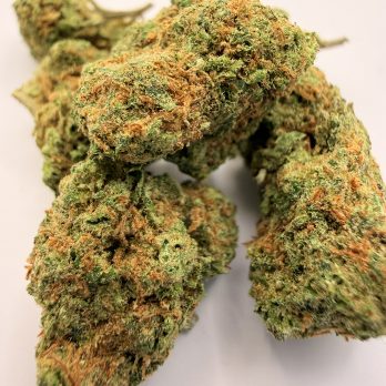Gorilla mandarina