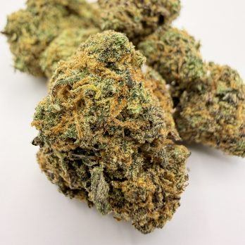 Purple Gaz