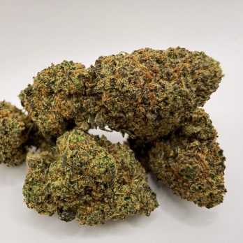 Blueberry muffin ++
