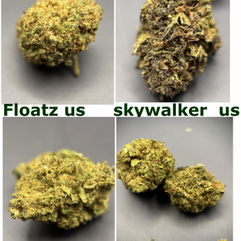 Pack découverte  anti-crise (4 varietés)